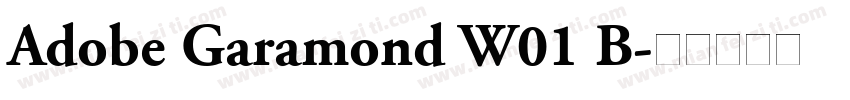 Adobe Garamond W01 B字体转换